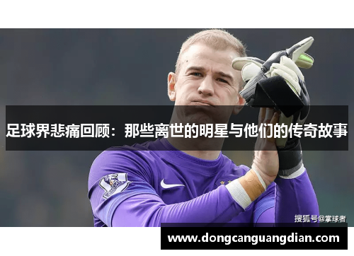 足球界悲痛回顾：那些离世的明星与他们的传奇故事