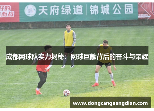 成都网球队实力揭秘：网球巨献背后的奋斗与荣耀