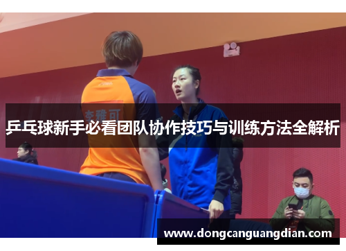 乒乓球新手必看团队协作技巧与训练方法全解析