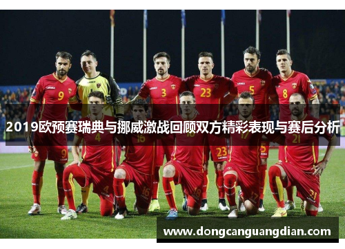 2019欧预赛瑞典与挪威激战回顾双方精彩表现与赛后分析